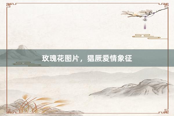 玫瑰花图片，猖厥爱情象征